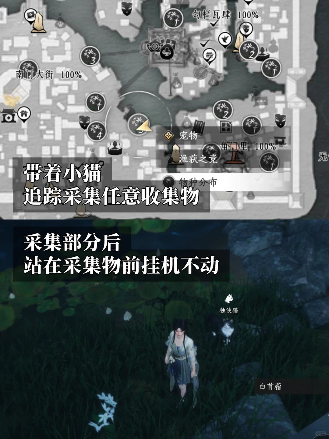 燕云十六声喵的备忘录成就攻略
