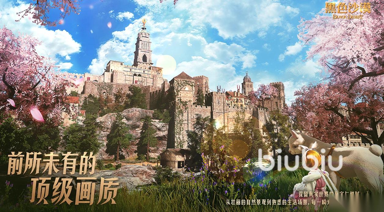 黑色沙漠一进游戏就闪退怎么办 黑色沙漠一进游戏就闪退加速器分享