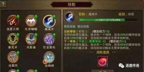 风之国世界弓手技能如何搭配