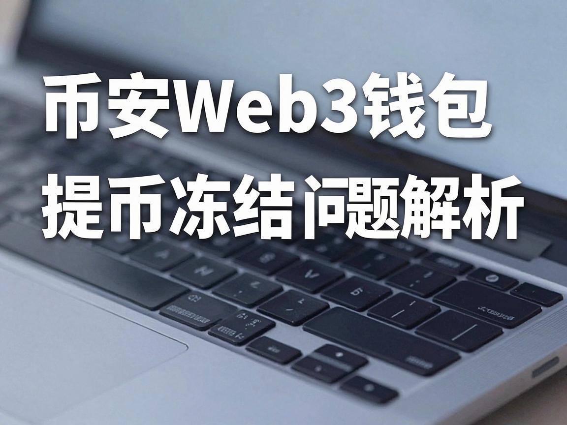 币安Web3钱包提币冻结问题解析