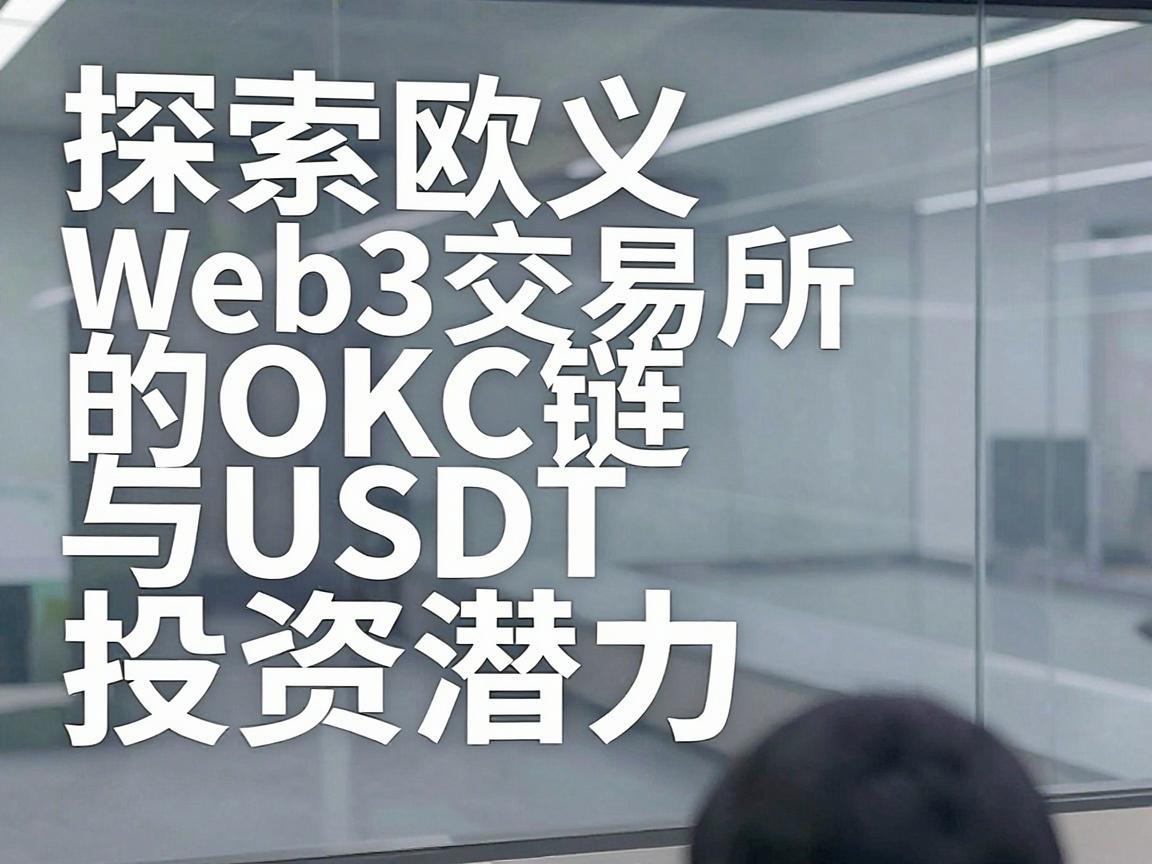 探索欧义Web3交易所的OKC链与USDT投资潜力