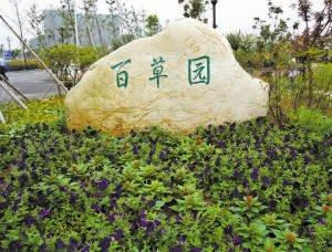 小闹花园如何下载安装