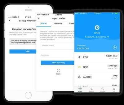 比特币APP怎么下载安装