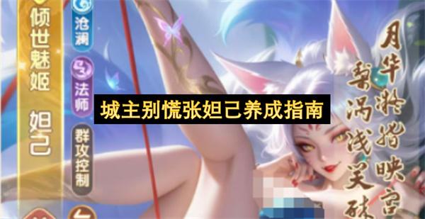 城主别慌张妲己养成指南