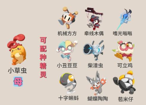 洛克王国世界s3小草虫配种公式