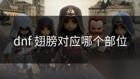 dnf 翅膀对应哪个部位