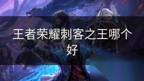 王者荣耀刺客之王哪个好