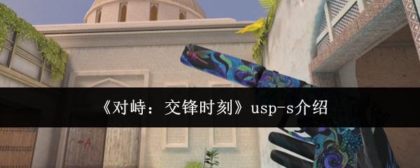 对峙交锋时刻usps怎么样usps介绍