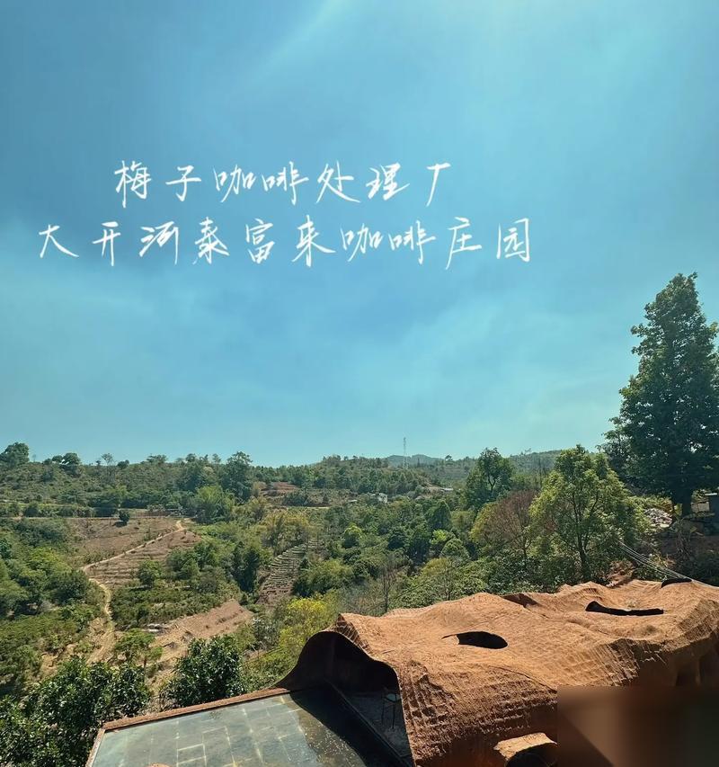 庄园咖啡馆2024开局玩法攻略 打造最成功的咖啡馆从这里开始