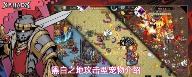 黑白之地攻击型宠物有哪些攻击型宠物介绍